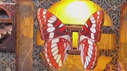 Le Cabinet des Papillons